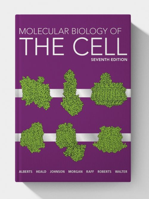 Molecular Biology of the Cell (7th Edition)