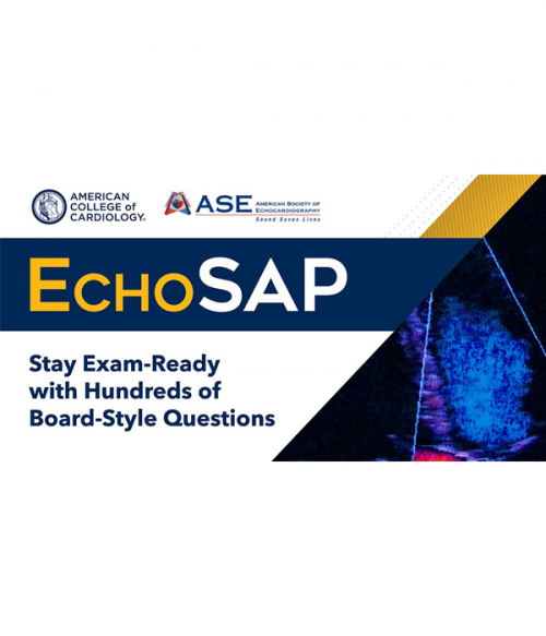 EchoSAP 2024 complete Videos + PDF + Q&A