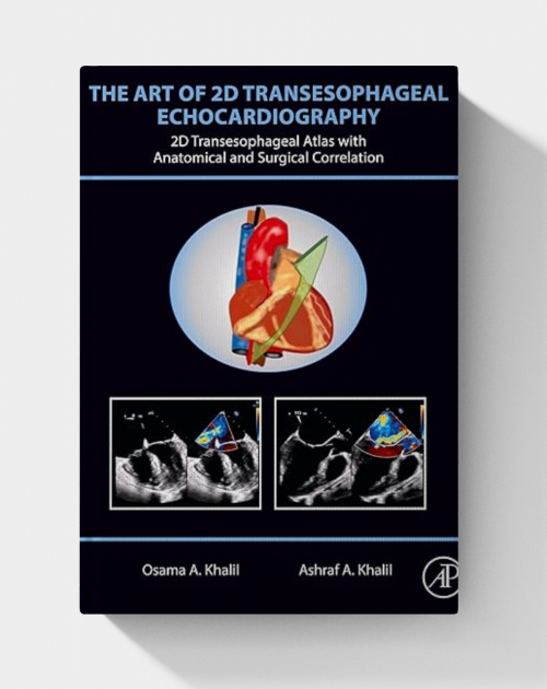 The Art of 2D Transesophageal Echocardiography (PDF+VIDEOS)
