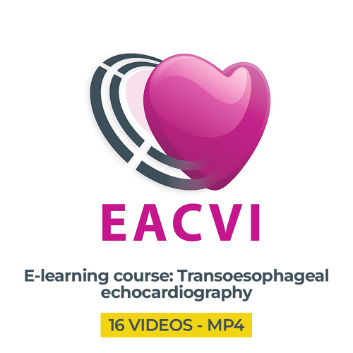 EACVI e-learning course: Transoesophageal echocardiography (TOE)