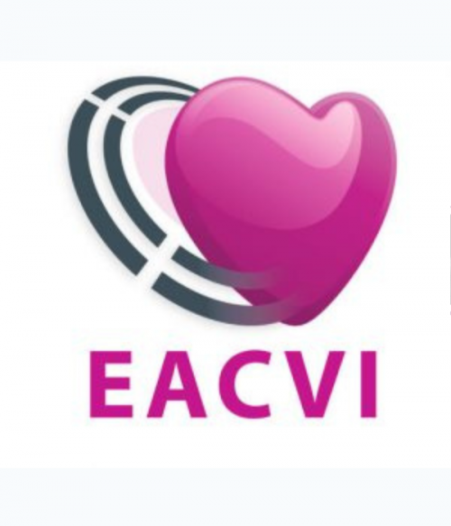 EACVI Nuclear Cardiology – Cardiac CT Tutorials 2018 (VIDEOS)