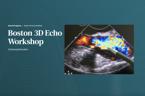 Harvard Boston 3D Echo Workshop 2025