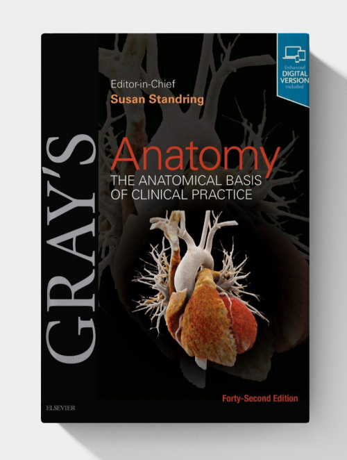 Gray's Anatomy: The Anatomical Basis of Clinical Practice (42nd Edition)