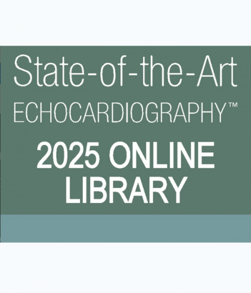 ASE 2025 SOTA Online Library