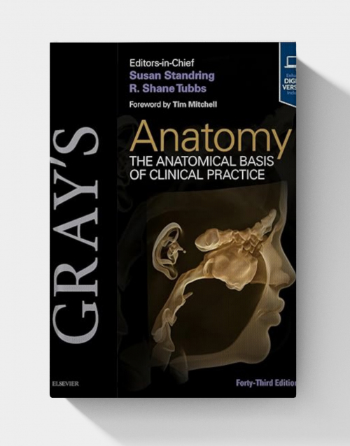 Gray's Anatomy: The Anatomical Basis of Clinical Practice (43rd Edition)