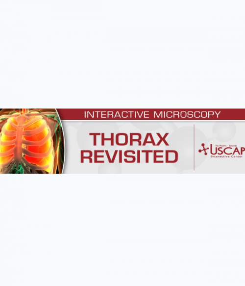 USCAP Thorax Revisited 2026 (Videos + PDFs)