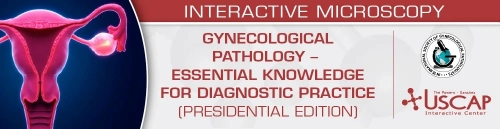 USCAP Gynecological Pathology Essential Knowledge for Diagnostic Practice (Presidential Edition) 2026
