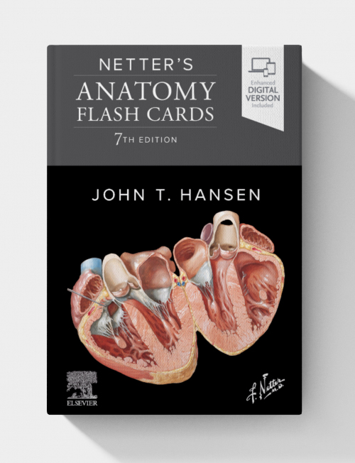 Netter’s Anatomy Flash Cards  (7th edition)