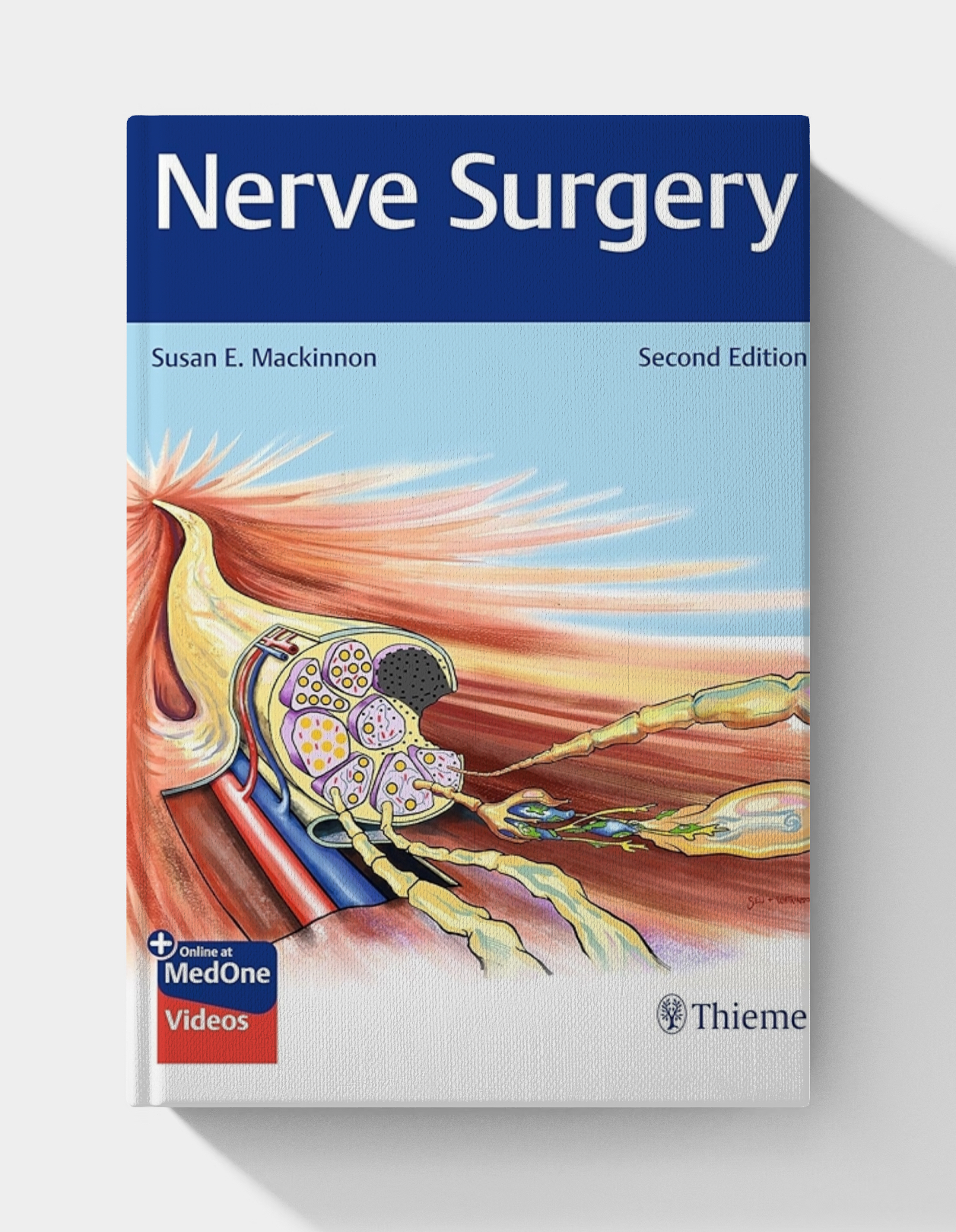 Nerve Surgery (2nd edition)