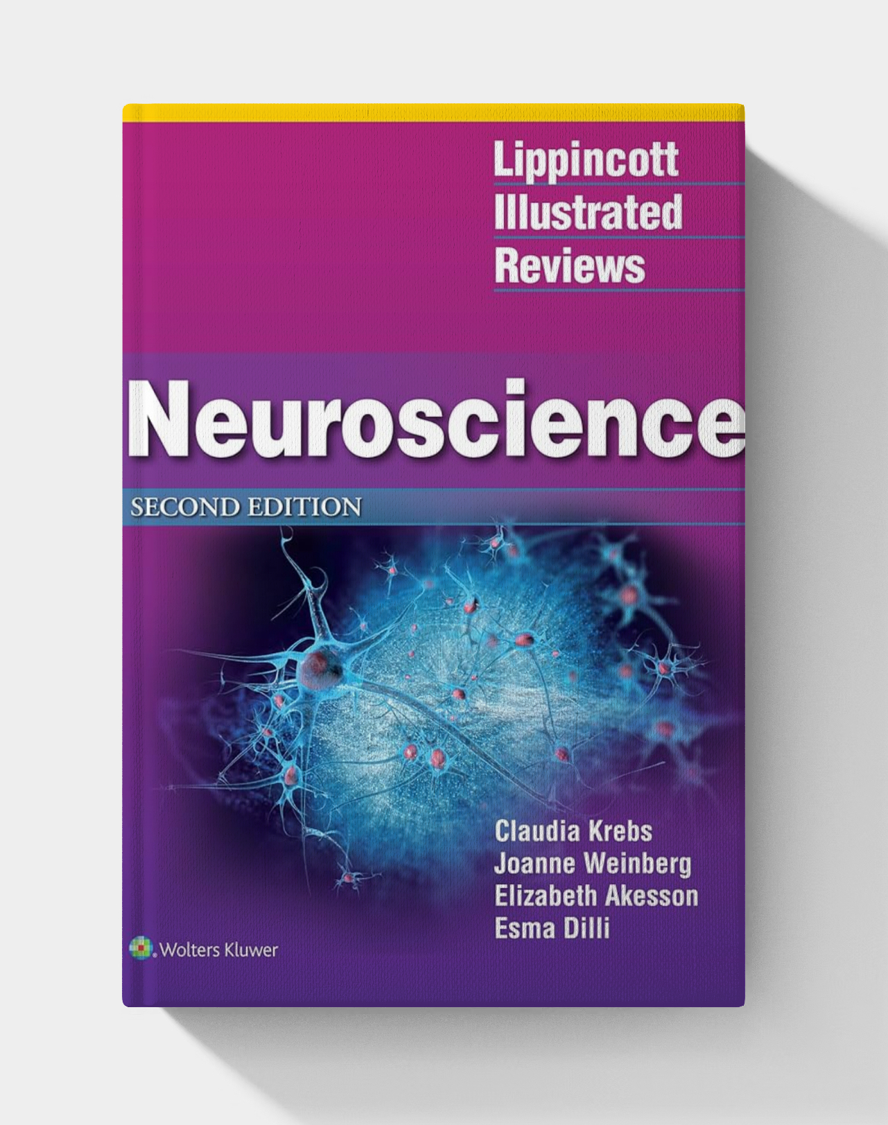 Lippincott Illustrated Reviews: Neuroscience (2nd edition)