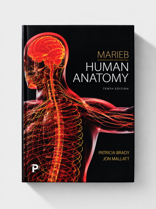 Marieb Human Anatomy (10th edition)